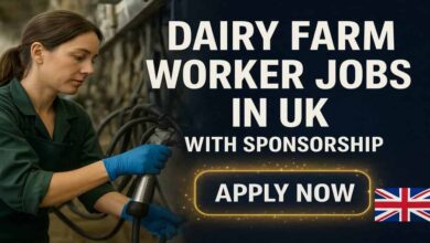 Dairy Farm Worker Jobs in UK with Sponsorship