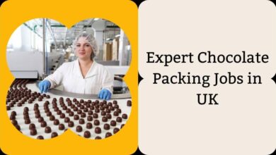 Expert Chocolate Packing Jobs in UK