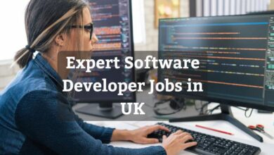 Expert Software Developer Jobs in UK