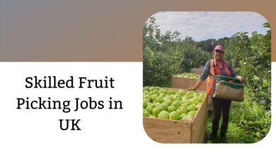 Skilled Fruit Picking Jobs in UK