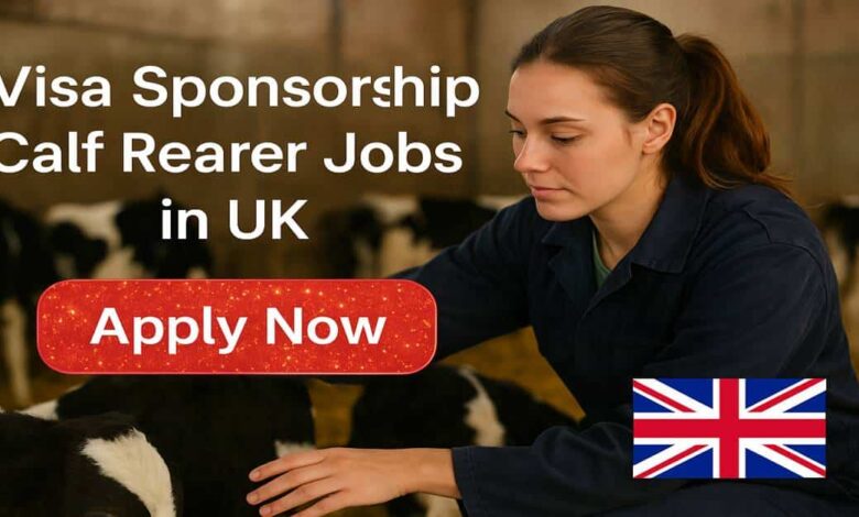 Visa Sponsorship Calf Rearer Jobs in UK