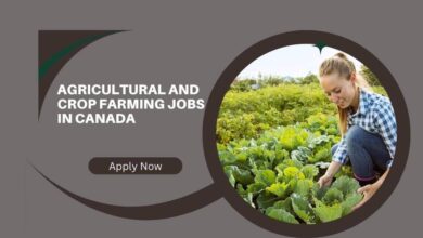 Agricultural And Crop Farming Jobs In Canada