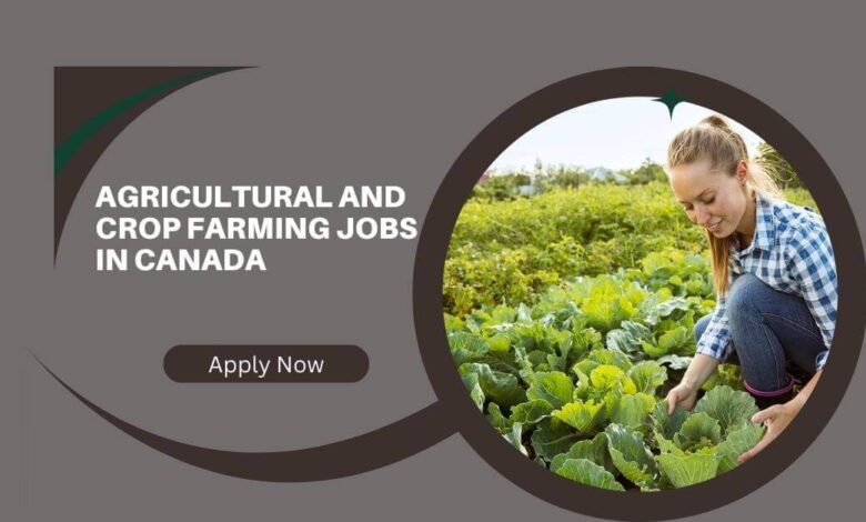 Agricultural And Crop Farming Jobs In Canada