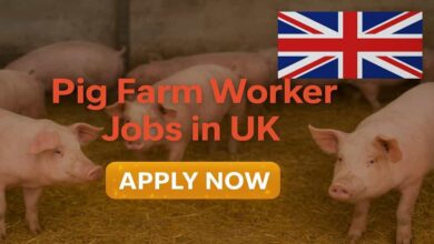 Pig Farm Worker Jobs in UK