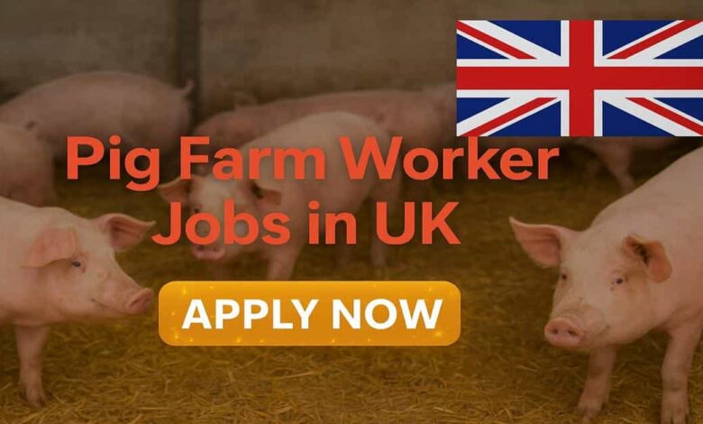 Pig Farm Worker Jobs in UK