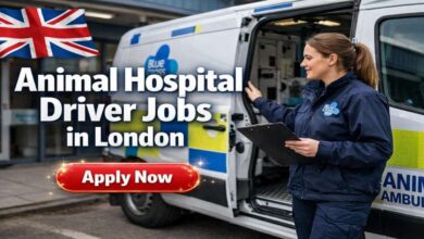 Animal Hospital Driver Jobs in London
